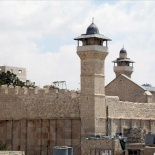 مدينة الخليل