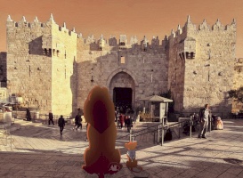 ملكية الارض:  شوف يا سيمبا، كل حاجه تحت الشمس تبقى تبع مملكتنا.. والملوك زي الشموس يوم شروق ويوم غروب